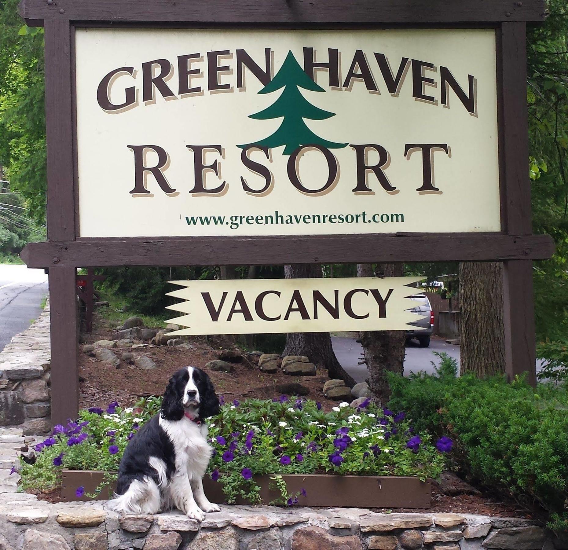 Green Haven Resort Lake George Dış mekan fotoğraf